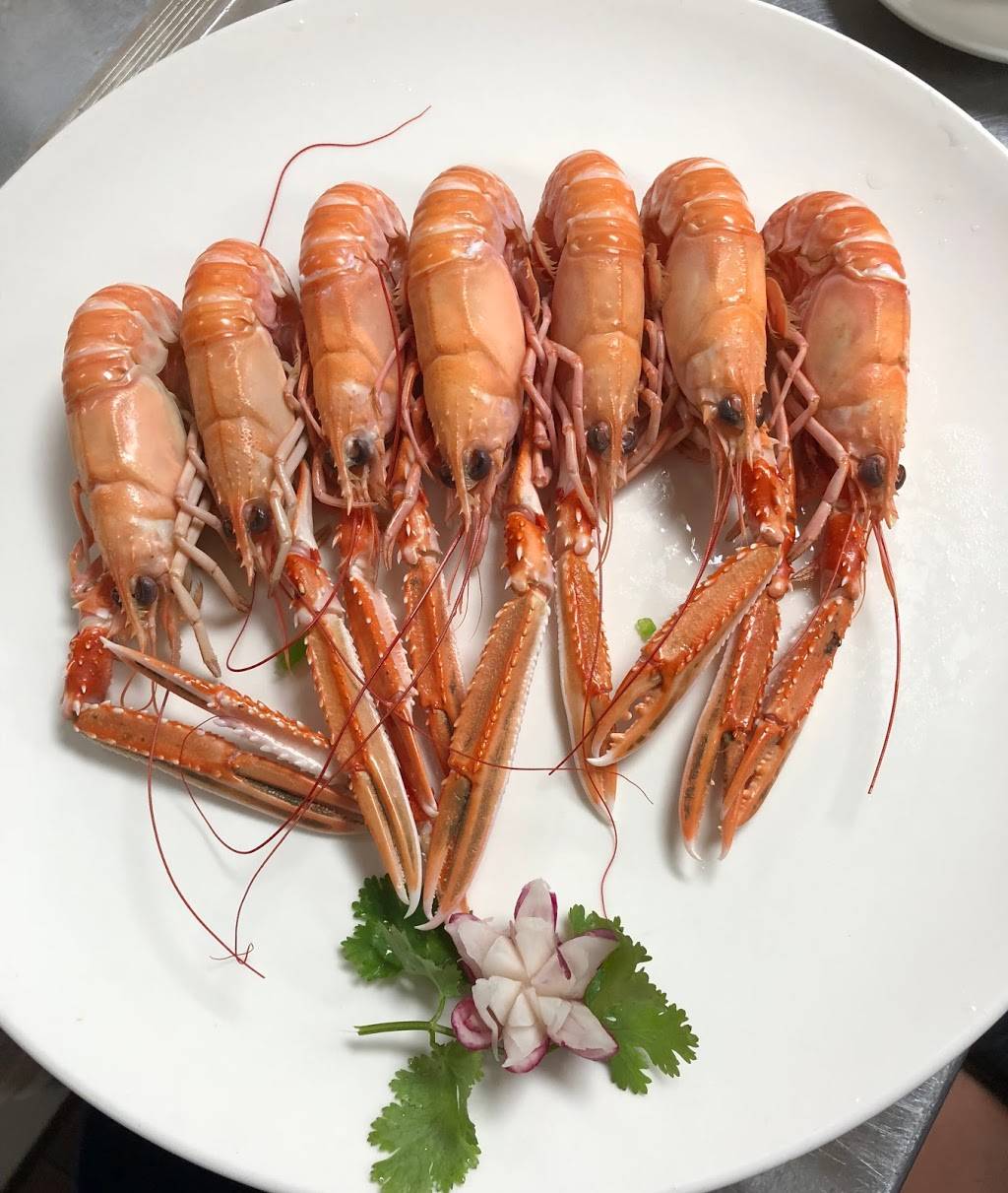 Precious Island Tea Shop | restaurant | 366 New Dorp Ln, Staten Island, NY 10306, USA | 7188785504 OR +1 718-878-5504