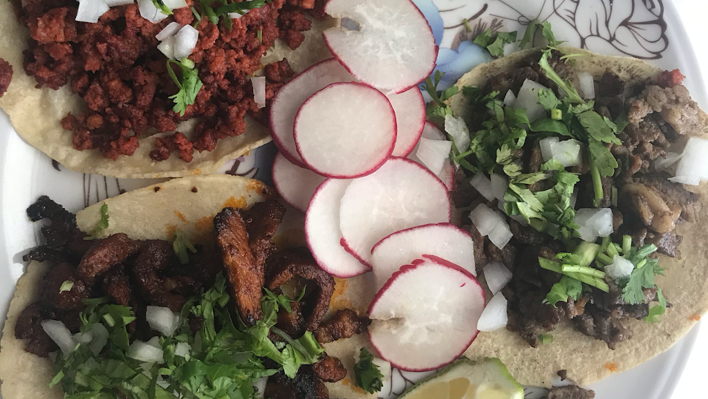 El Rincon | restaurant | 11101 s, US Hwy 41 S, Gibsonton, FL 33534, USA | 8135181570 OR +1 813-518-1570