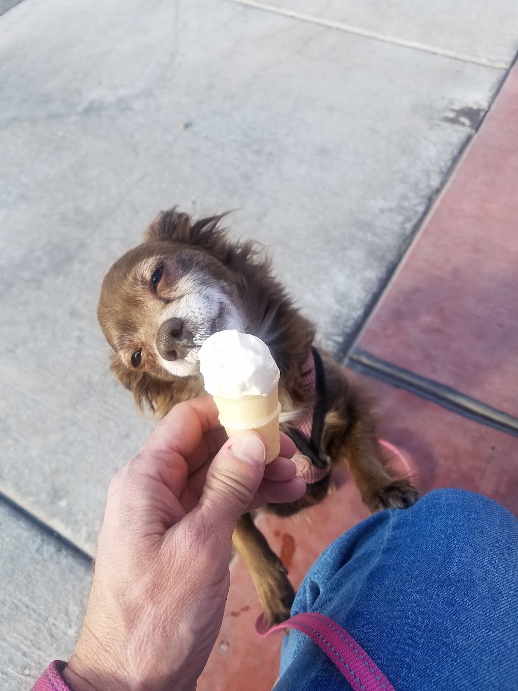 Caliche’s Frozen Custard | restaurant | 1000 Lenox Ave, Las Cruces, NM 88005, USA | 5756802229 OR +1 575-680-2229