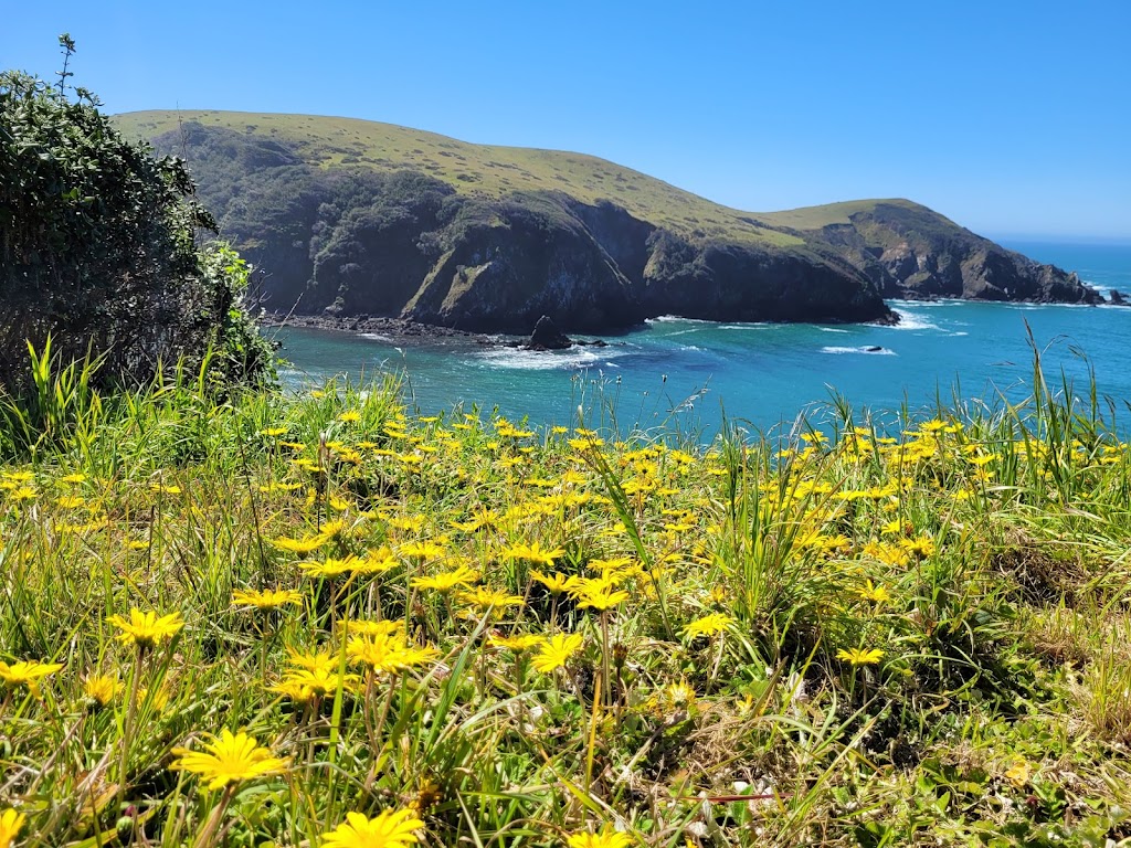 Albion River Inn Restaurant | restaurant | 3790 CA-1, Albion, CA 95410, USA | 7079371919 OR +1 707-937-1919