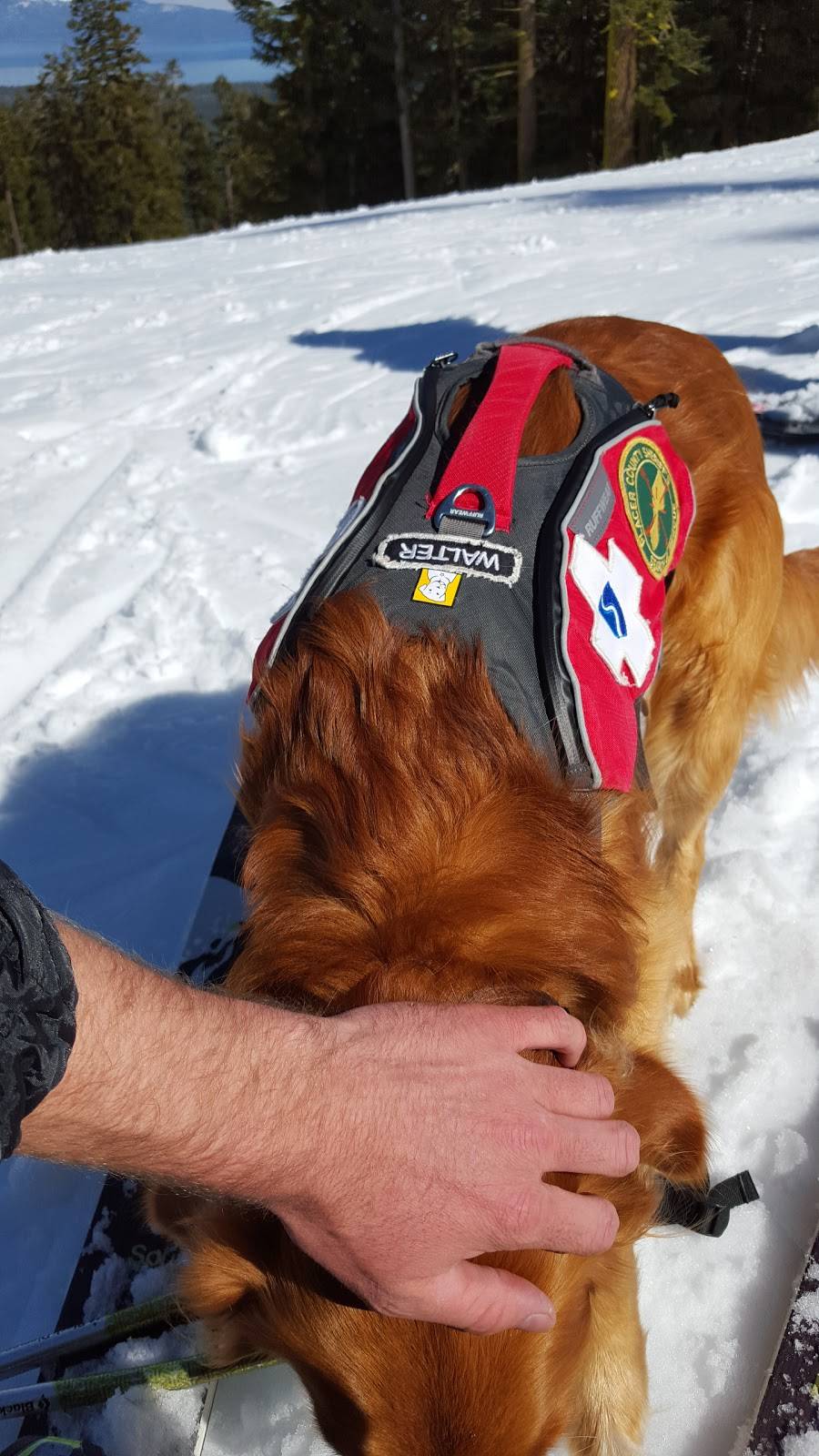 Chalet At Alpine Meadows | restaurant | 2600 Alpine Meadows Rd, Alpine Meadows, CA 96146, USA | 5305838963 OR +1 530-583-8963