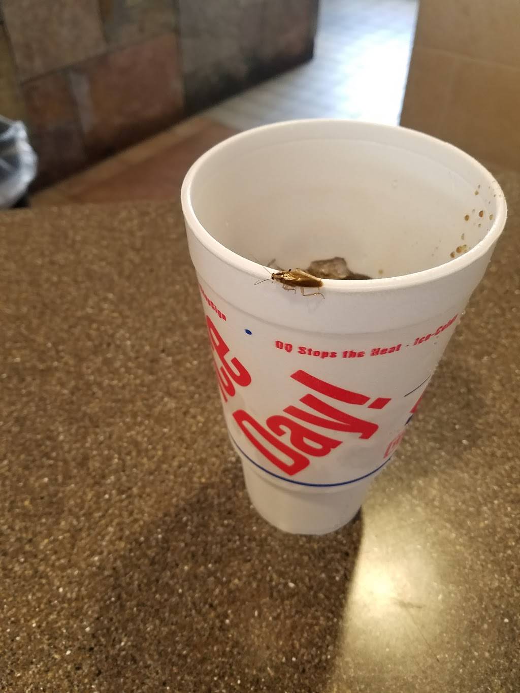 Dairy Queen Restaurant | restaurant | 1314 Northpark Dr, Kingwood, TX 77339, USA | 2817477005 OR +1 281-747-7005