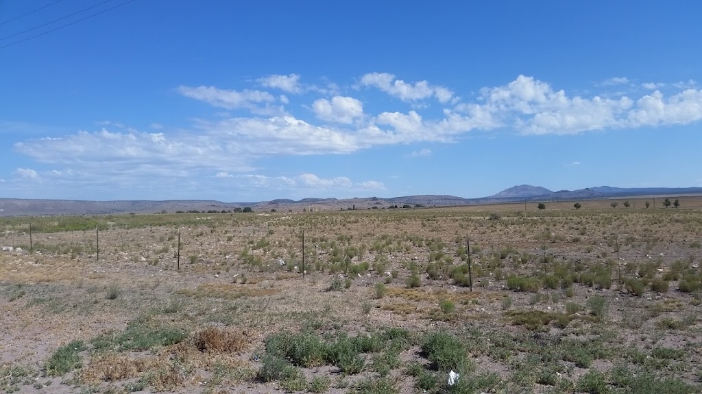 Shell | restaurant | I-40BL Exit 123, Seligman, AZ 86337, USA | 9284223586 OR +1 928-422-3586