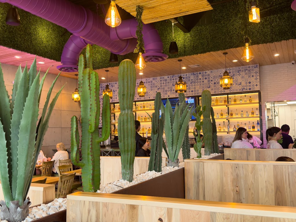 deMaiz Taco Cantina | restaurant | 9124 Cottage Hill Rd Suite 600-700, Mobile, AL 36695, USA | 2512628226 OR +1 251-262-8226