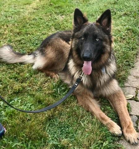 Cork & Barrel Wine Bar | restaurant | 35800 Detroit Rd, Avon, OH 44011, USA | 4409375830 OR +1 440-937-5830