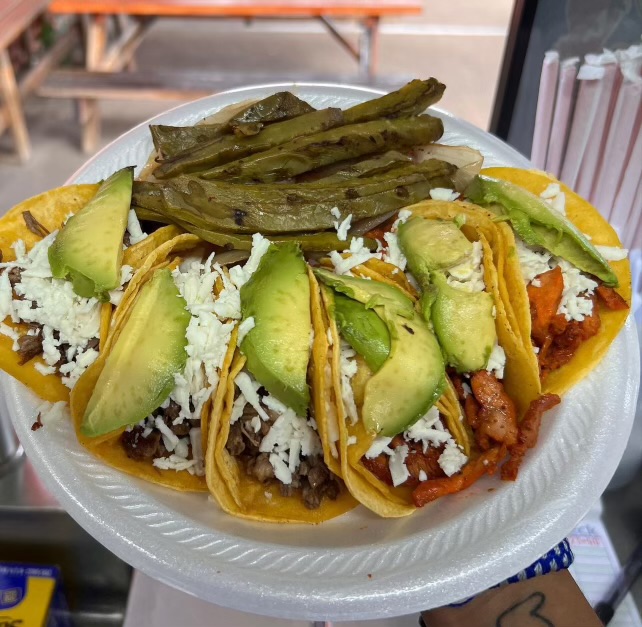 Tacos El Jarocho | restaurant | 11210 Veterans Memorial Dr, Houston, TX 77067, USA | 8329310918 OR +1 832-931-0918