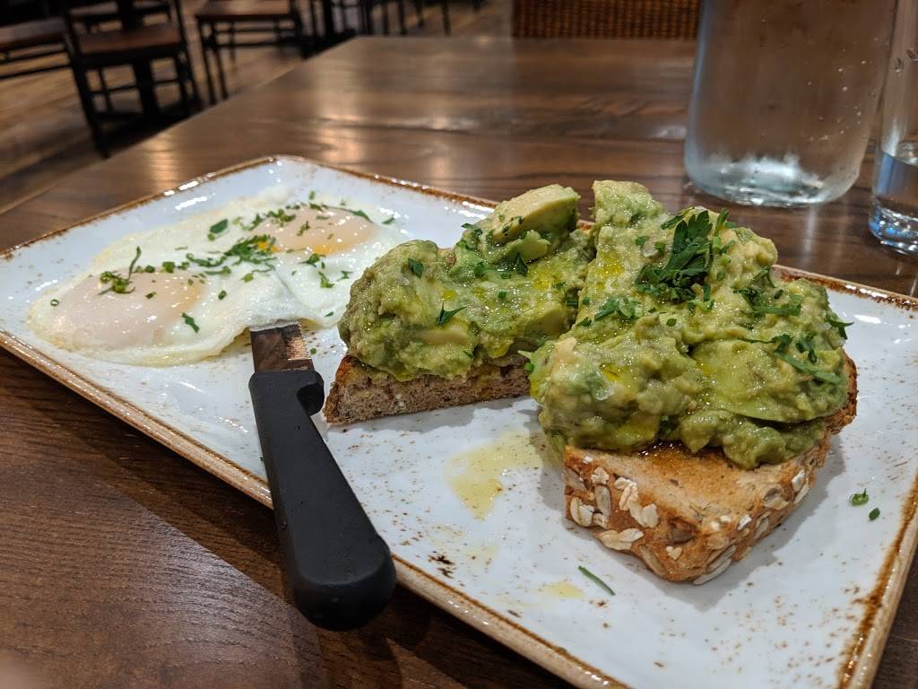 First Watch - Trinity | restaurant | 3240 Redeemer Way Suite E-3, New Port Richey, FL 34655, USA | 7272919944 OR +1 727-291-9944