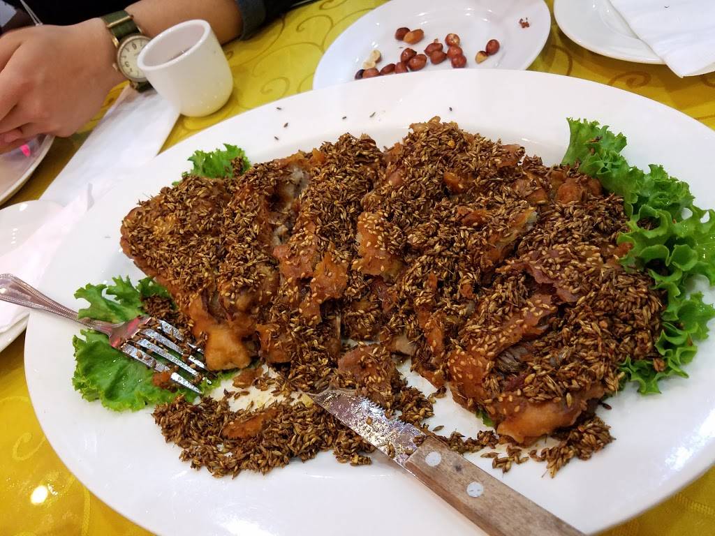 Spring Fish Village | restaurant | 136-21 41st Ave, Flushing, NY 11355, USA | 7189393633 OR +1 718-939-3633