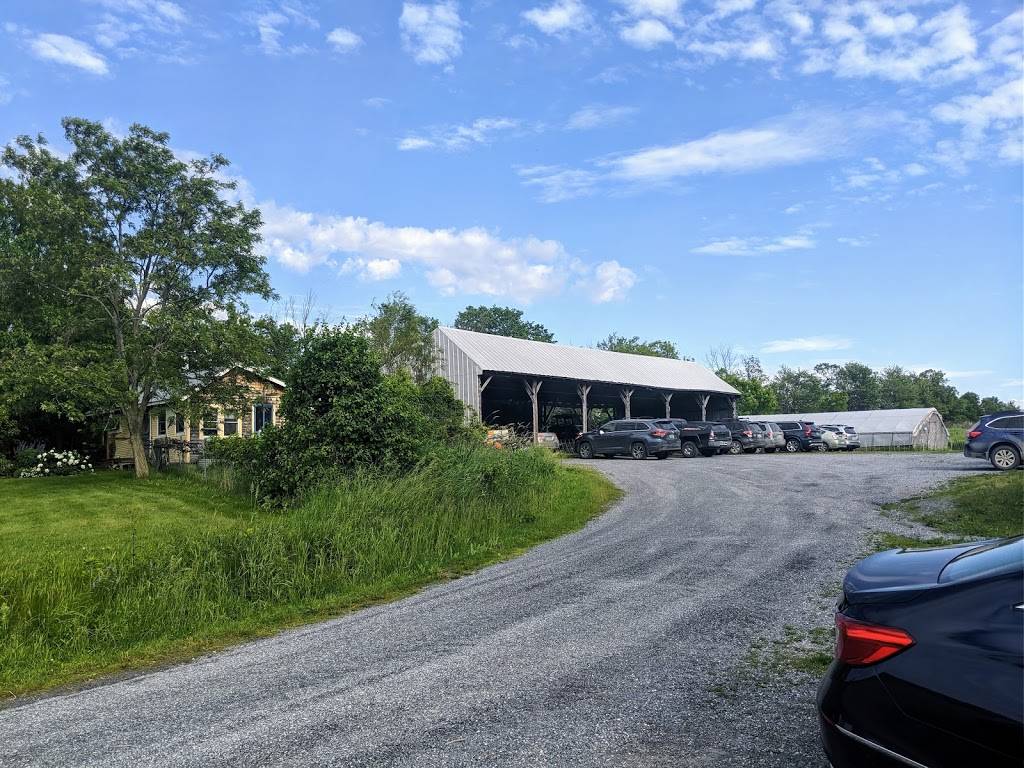 Pizza On Earth | restaurant | 1510 Hinesburg Rd, Charlotte, VT 05445, USA | 8024252152 OR +1 802-425-2152