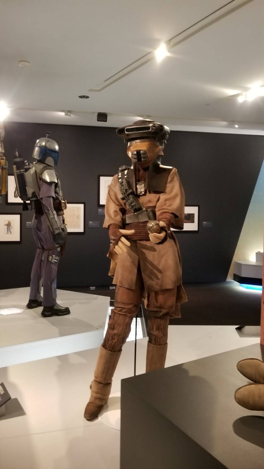 Museum of Fine Arts | restaurant | 255 Beach Dr NE, St. Petersburg, FL 33701, USA | 7278962667 OR +1 727-896-2667