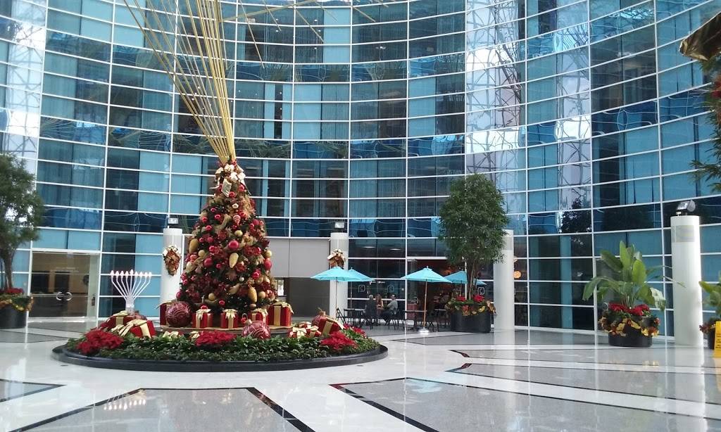 Tk Bistro | cafe | 4000 Hollywood Blvd, Hollywood, FL 33021, USA | 9548422848 OR +1 954-842-2848