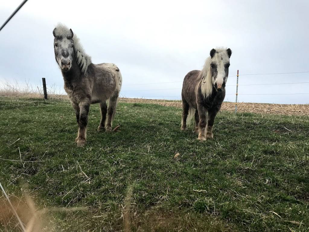 Udder Brothers Creamery LLC | restaurant | 1518 Elm St, Boscobel, WI 53805, USA | 6083913120 OR +1 608-391-3120