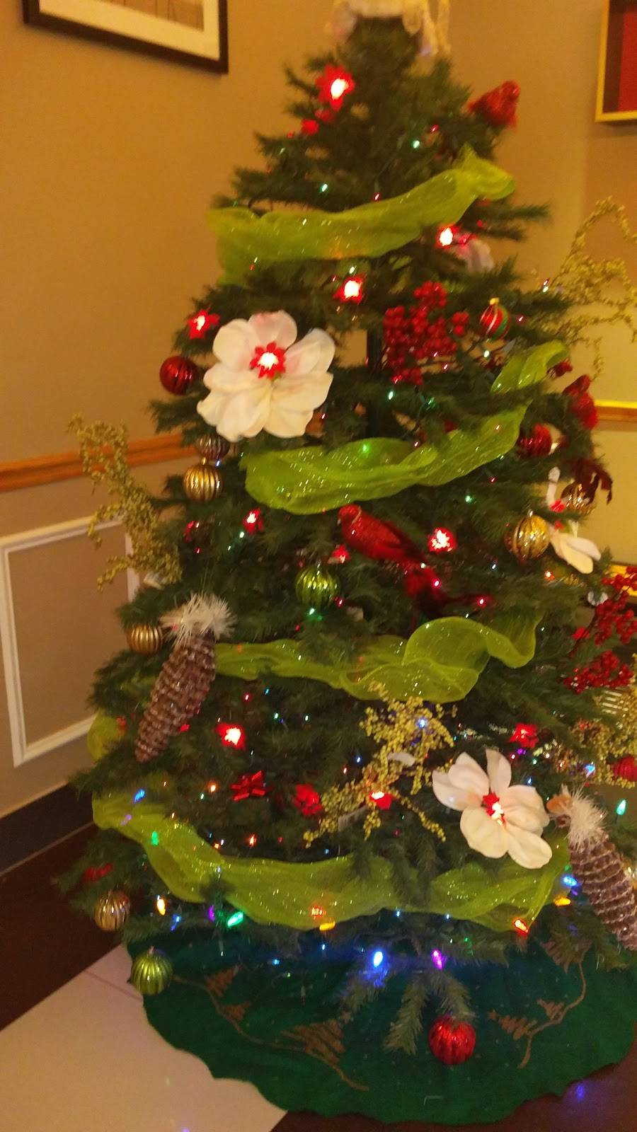 Ruans Asian Bistro | restaurant | 3417 Lackey St, Lumberton, NC 28360, USA | 9106082022 OR +1 910-608-2022