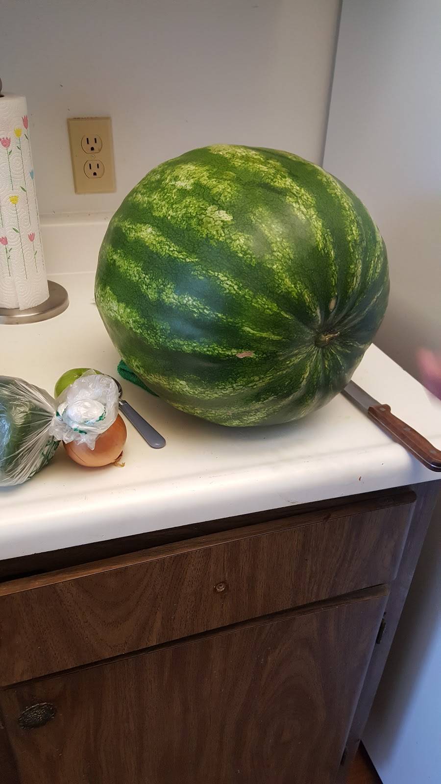 MI ZARAPE SPORTS BAR & GRILL | restaurant | 3624 W Vine St, Kissimmee, FL 34741, USA | 4078462235 OR +1 407-846-2235