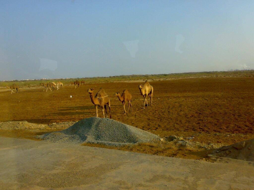 Sheetz #33 | cafe | 718 Bellwood Ave, Altoona, PA 16601, USA | 8147428042 OR +1 814-742-8042