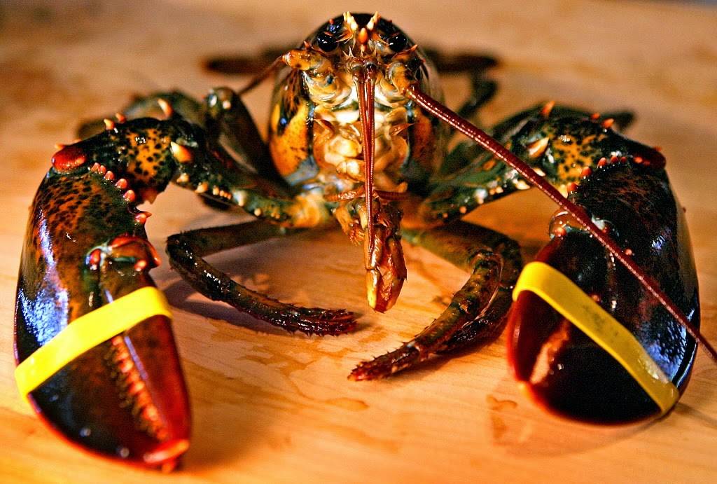 Bayleys Seafood Restaurant | restaurant | 165 Pine Point Rd, Scarborough, ME 04074, USA | 2078859754 OR +1 207-885-9754