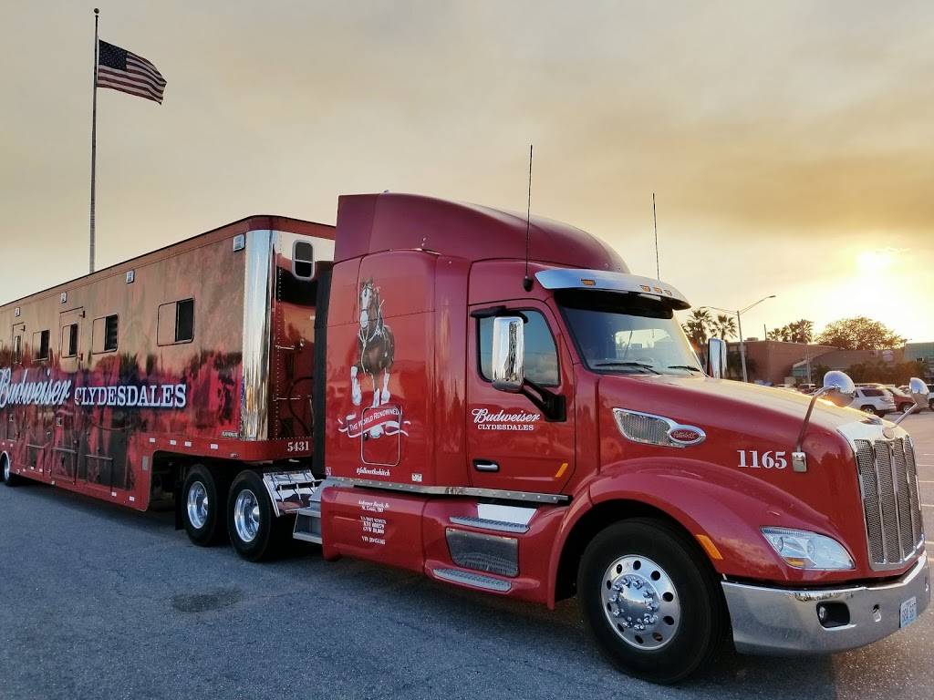 Rustys Raw Bar & Grill - Cape Coral | restaurant | 4631 SE 10th Pl, Cape Coral, FL 33904, USA | 2393608154 OR +1 239-360-8154