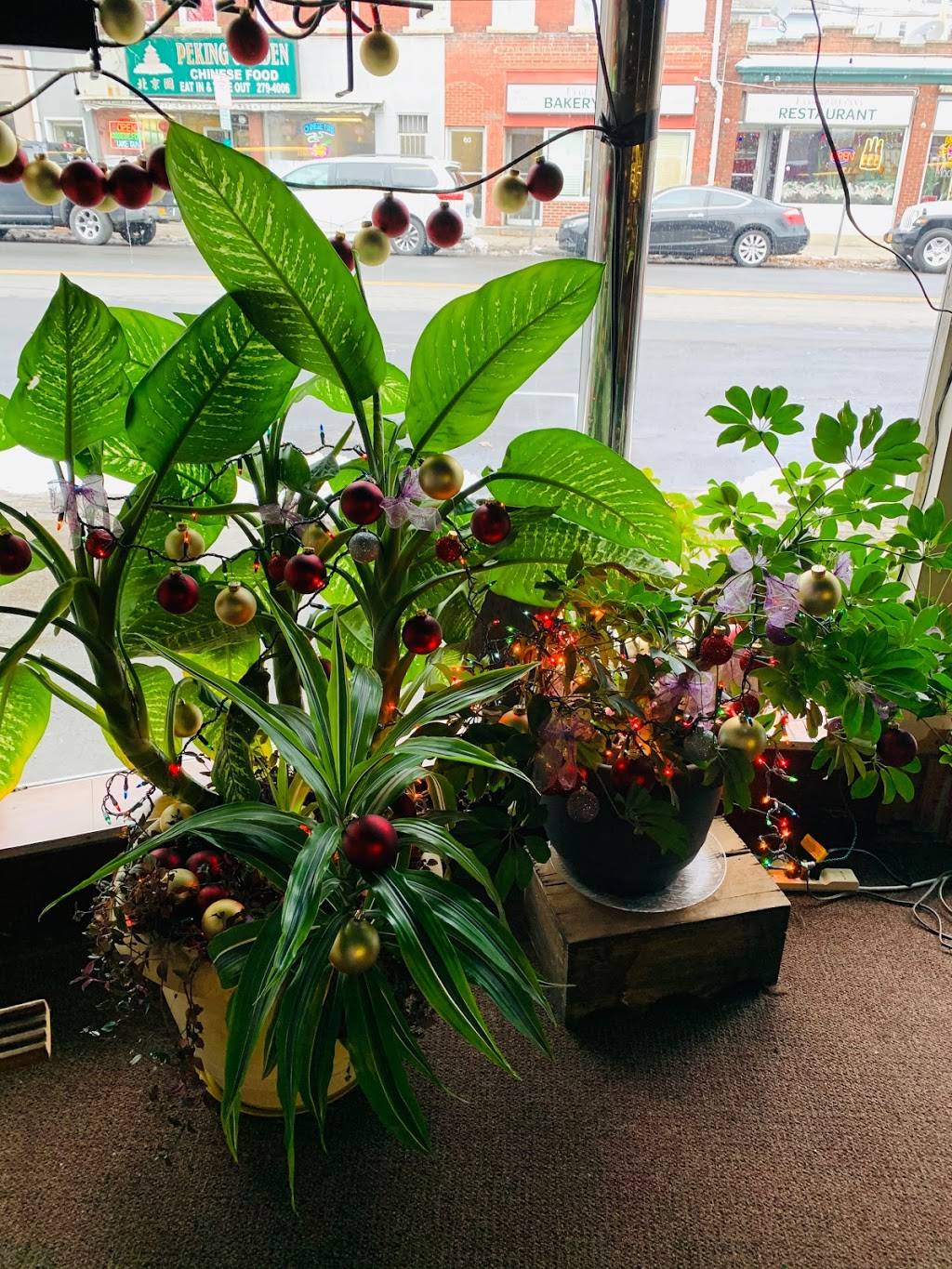 Jack & Jill | restaurant | 49 Main St, Brewster, NY 10509, USA | 8452799878 OR +1 845-279-9878