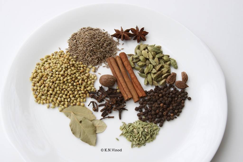 Bombay Bistro | restaurant | 98 W Montgomery Ave, Rockville, MD 20850, USA | 3017628798 OR +1 301-762-8798