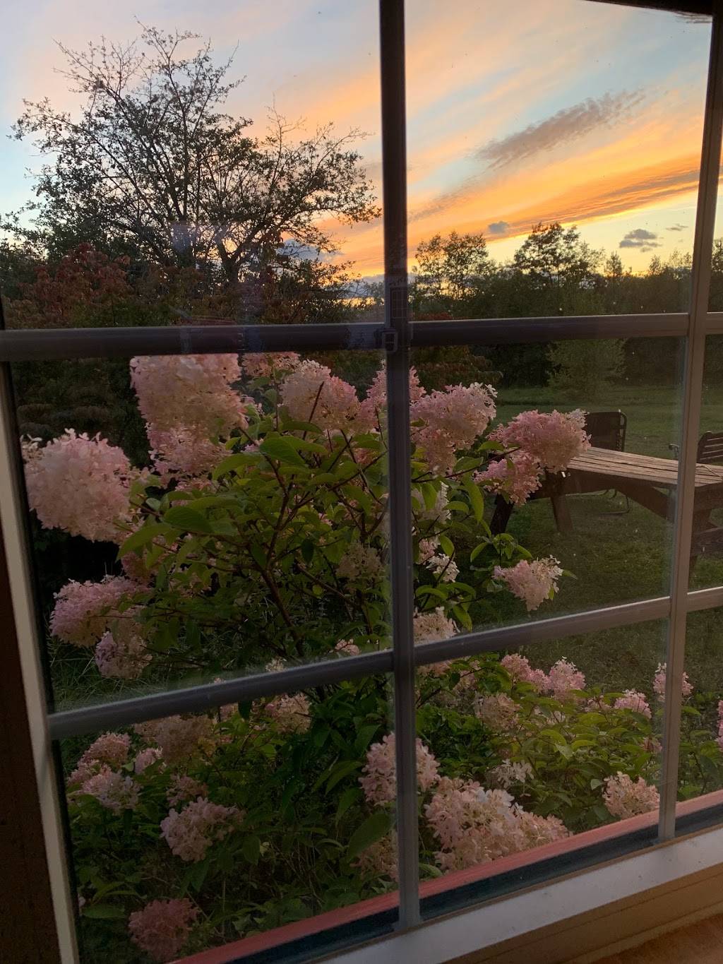 Colonial Hill Farm & Sugar Shack | restaurant | 201 Mill Hill Rd, Waterford, ME 04088, USA | 2075832318 OR +1 207-583-2318