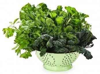 Gabrielle’s Food Market | restaurant | 1190 N Capitol Ave, San Jose, CA 95132, USA | 4089264412 OR +1 408-926-4412