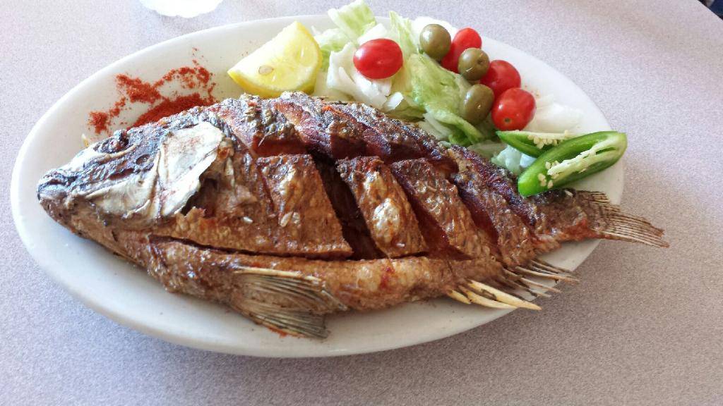 Cafe Madina | cafe | 1820 Valley View Ln, Irving, TX 75061, USA | 9728717193 OR +1 972-871-7193