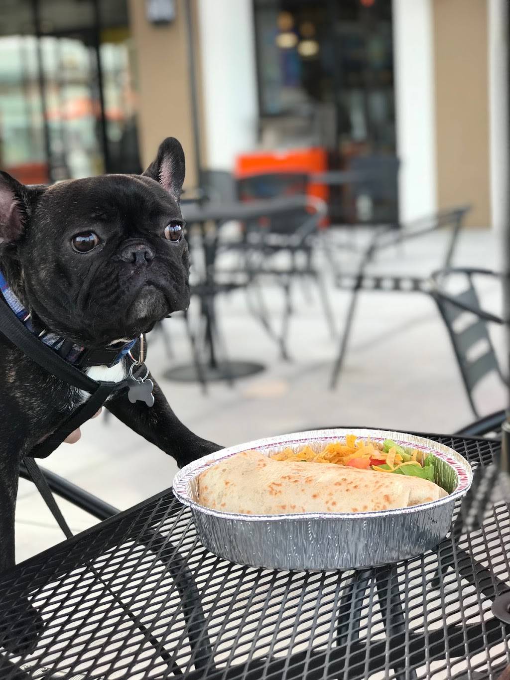 Costa Vida | restaurant | 4010 S Arizona Ave, Chandler, AZ 85248, USA | 4808839844 OR +1 480-883-9844