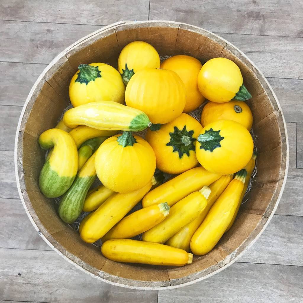 Natures Corner Natural Market | restaurant | 2407 NJ-71, Spring Lake, NJ 07762, USA | 7324494950 OR +1 732-449-4950