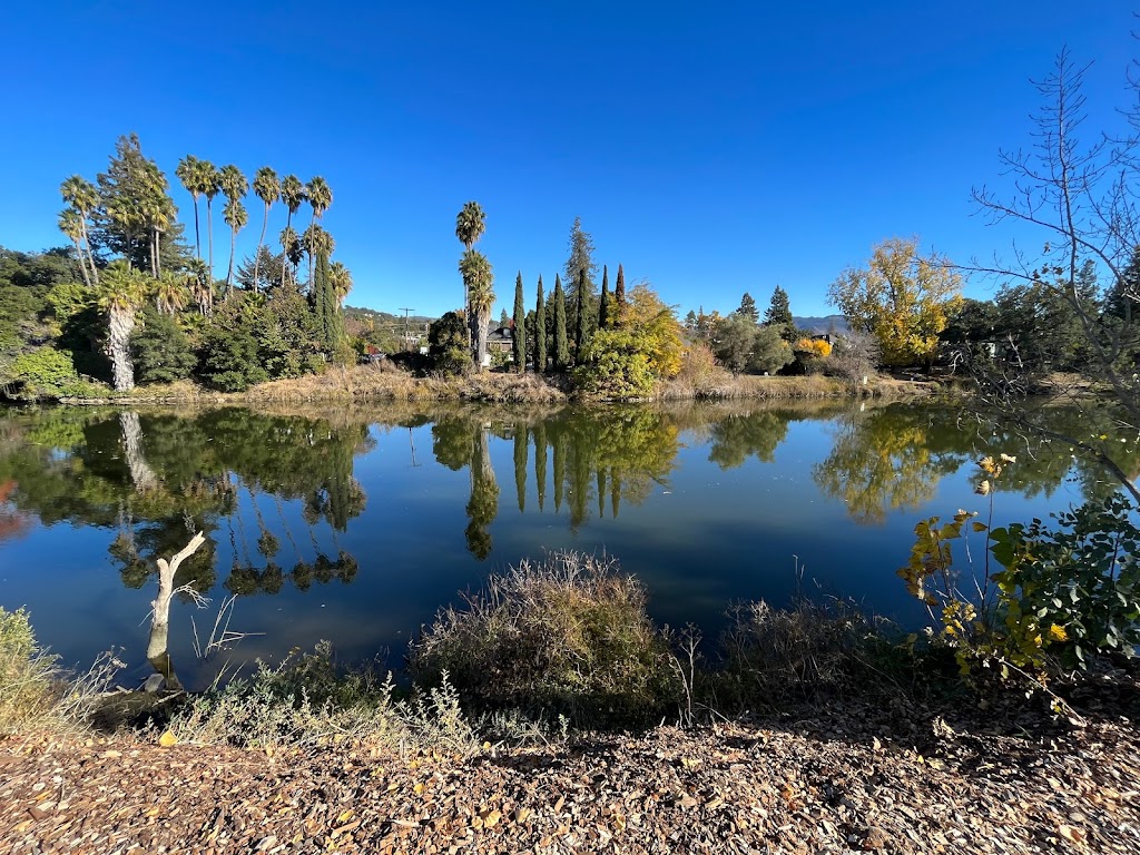 Napa Yard - Oxbow Gardens | restaurant | 585 1st St, Napa, CA 94559, USA | 7078150398 OR +1 707-815-0398