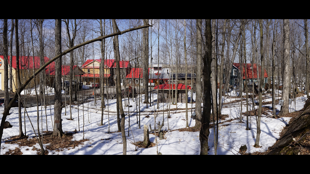 Cabane à Sucre L’ancestrale | restaurant | 589 Petit rang Saint-François, Saint-Pie, QC J0H 1W0, Canada | 4507776747 OR +1 450-777-6747