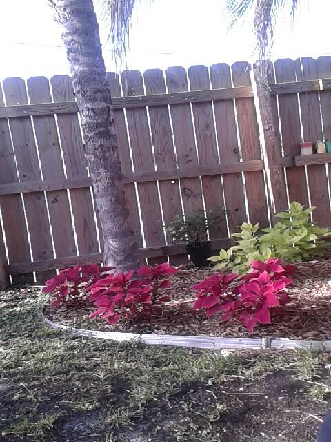 Subway | restaurant | 23268 SW 112th Ave, Homestead, FL 33032, USA | 3052575734 OR +1 305-257-5734