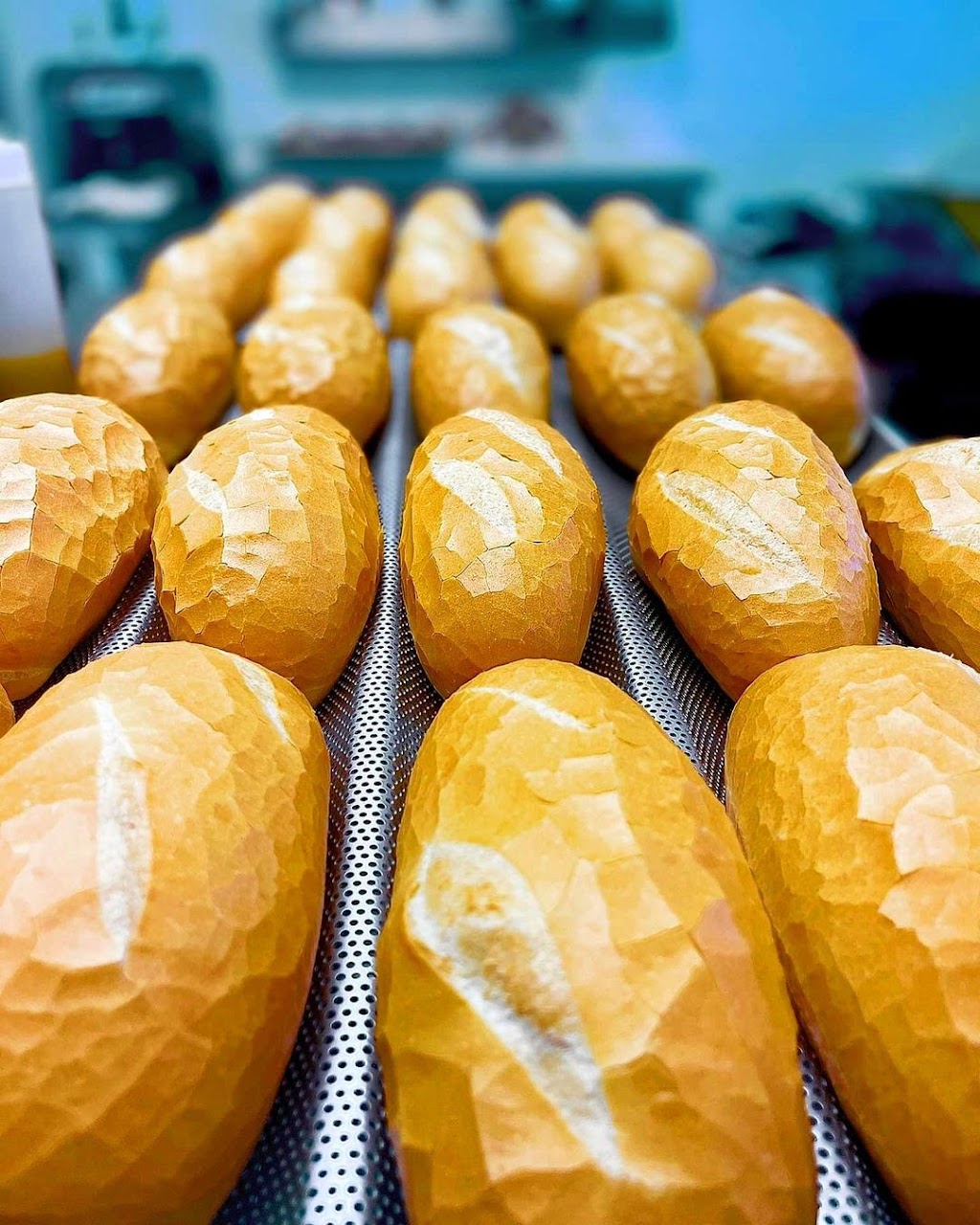 Chicago Banh Mi | restaurant | 369 W Army Trail Rd Ste 23, Bloomingdale, IL 60108, USA | 6302830955 OR +1 630-283-0955