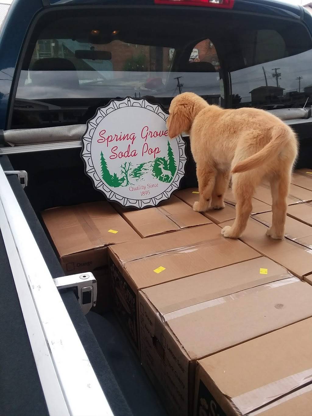 The Pop Place Store | restaurant | 2197, 213 E Main St, Mt Horeb, WI 53572, USA | 6084258101 OR +1 608-425-8101