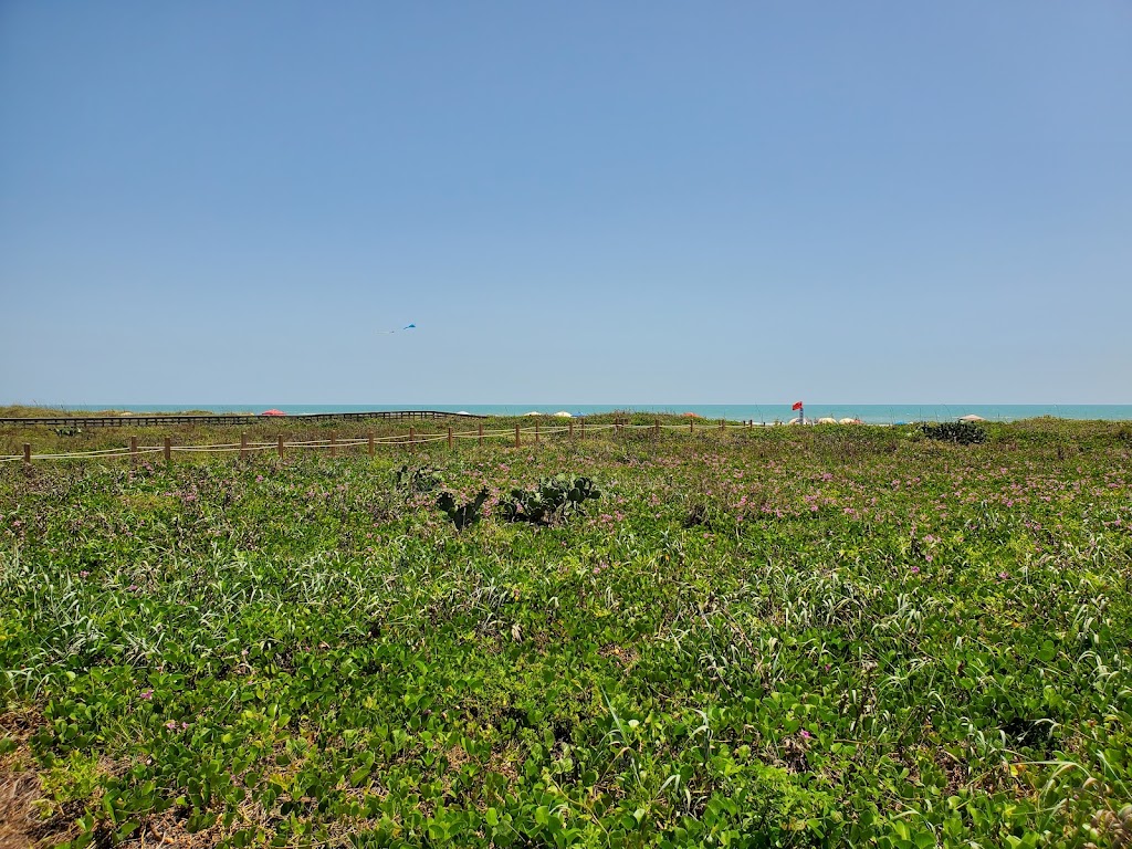 Cafe On The Beach | restaurant | 3616 Gulf Blvd, South Padre Island, TX 78597, USA | 9567612703 OR +1 956-761-2703