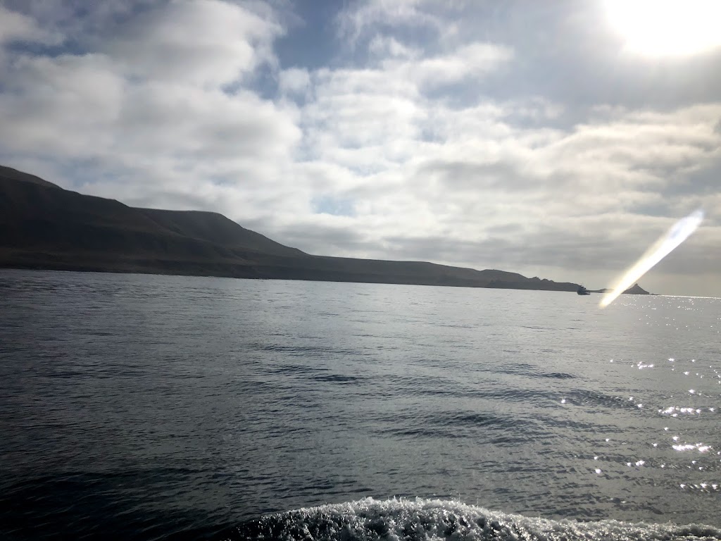 22nd Street Landing Sportfishing | meal takeaway | 141 W 22nd St, San Pedro, CA 90731, USA | 3108328304 OR +1 310-832-8304