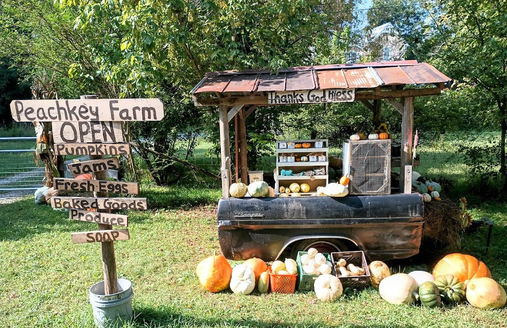 Peachkey Farm | restaurant | 421 Peanut Rd, Parrottsville, TN 37843, USA | 4235887373 OR +1 423-588-7373