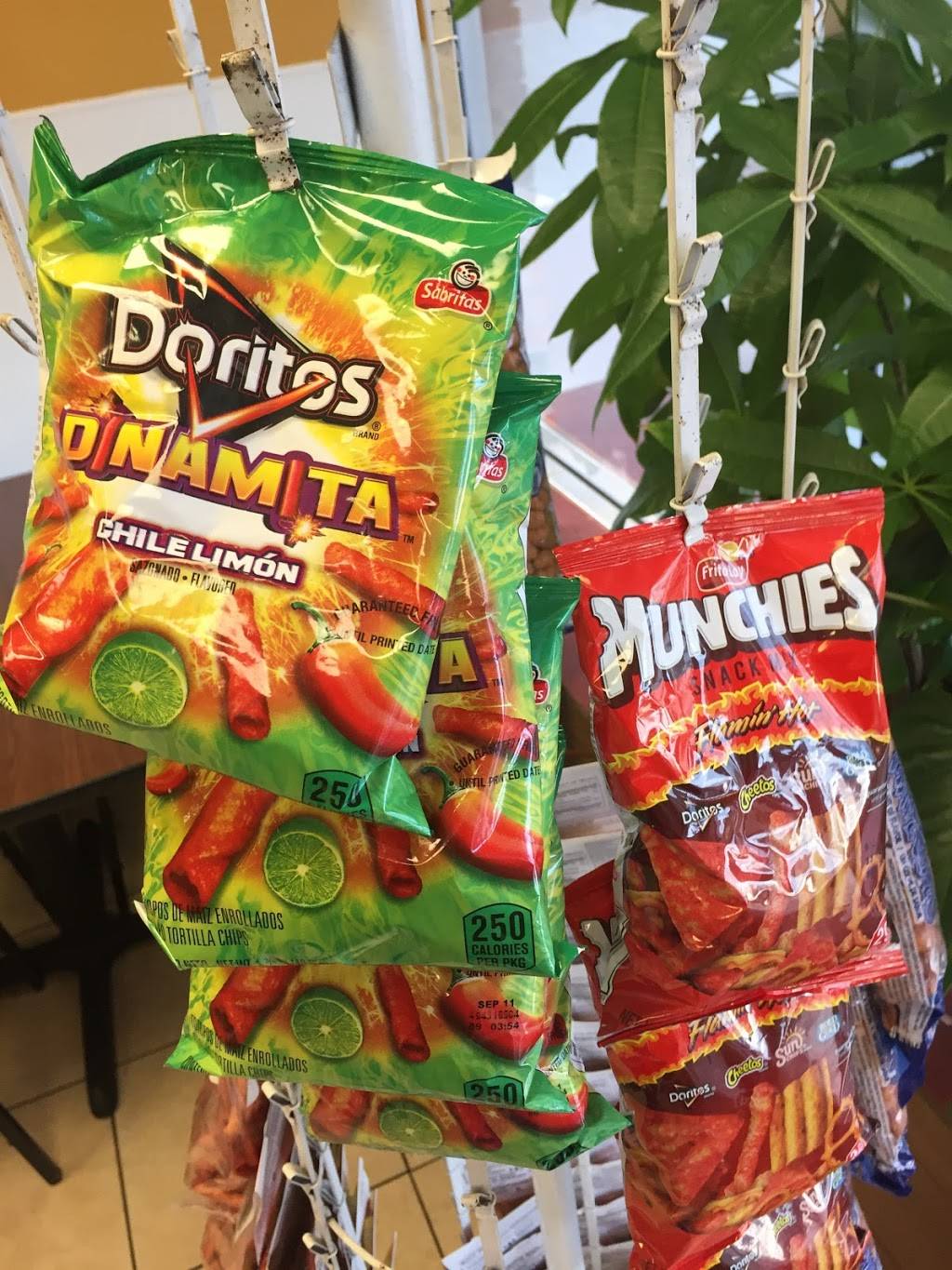 El Tarasco | restaurant | 32 S 20th St, Haines City, FL 33844, USA | 8635479667 OR +1 863-547-9667