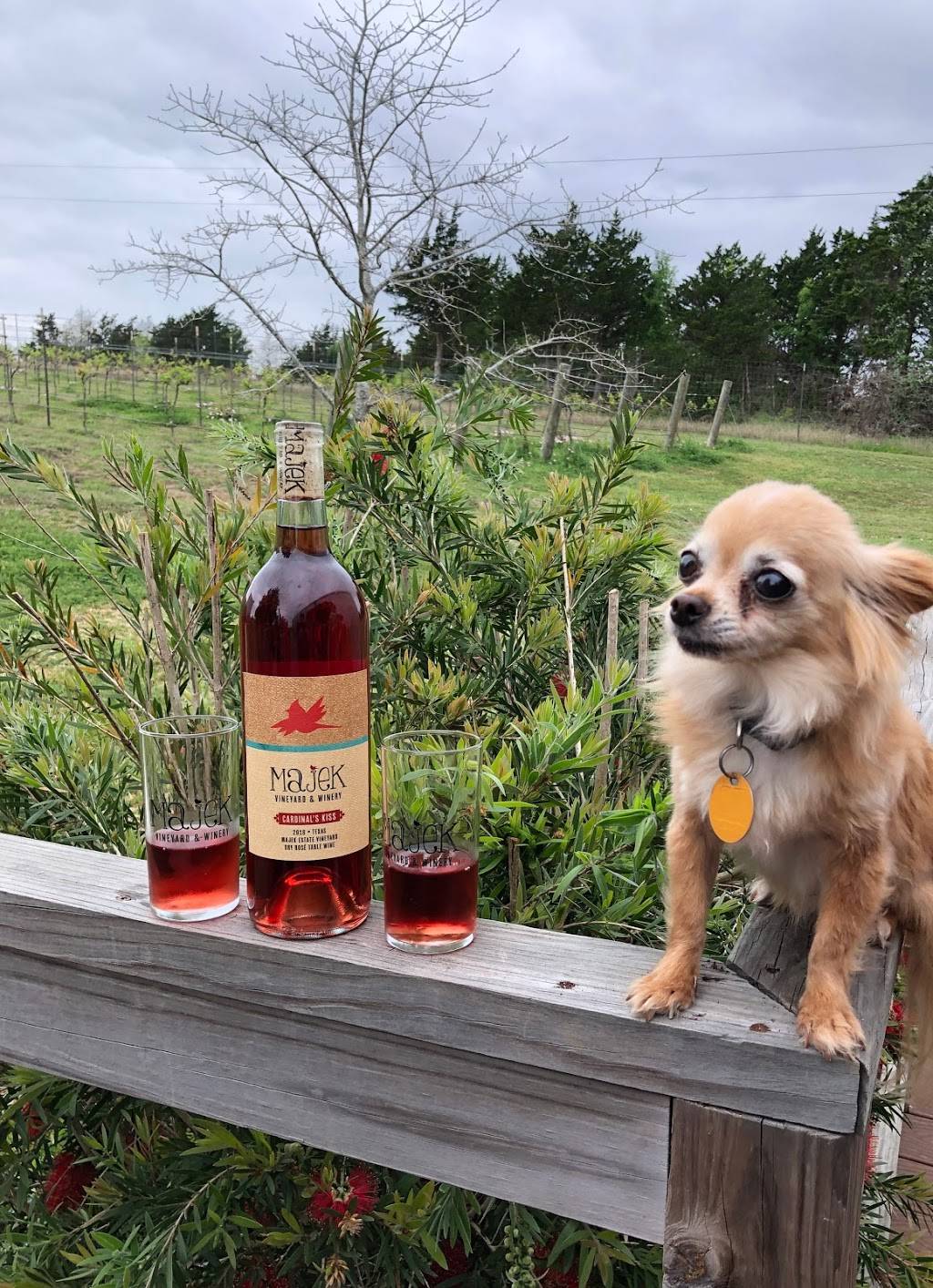 Majek Vineyard & Winery | restaurant | 12508 FM957, Schulenburg, TX 78956, USA | 2104138912 OR +1 210-413-8912