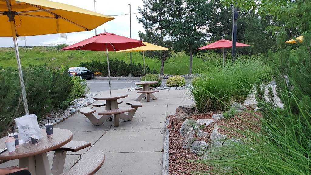 Good Times Burgers & Frozen Custard | restaurant | 3230 Youngfield Svc Rd, Golden, CO 80401, USA | 3032739292 OR +1 303-273-9292