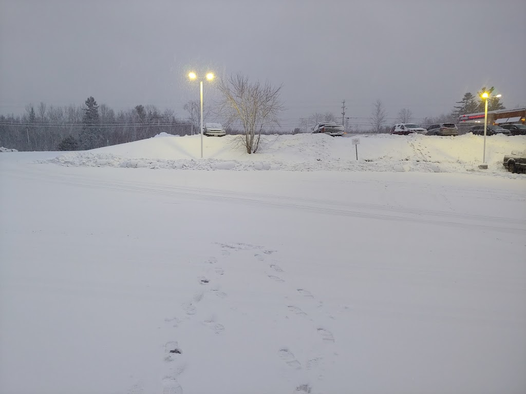 Star India | restaurant | 3208, 3721 Geary Blvd, San Francisco, CA 94118, USA | 4156684466 OR +1 415-668-4466