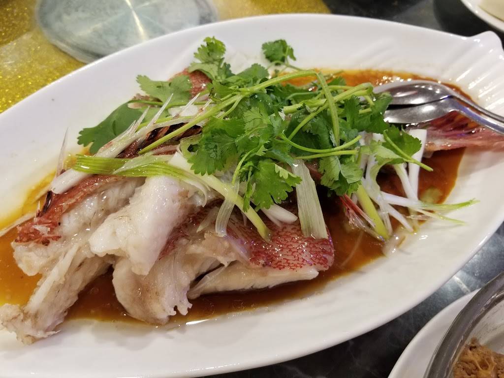 Dim Sum King | restaurant | 99 Skyline Plaza, Daly City, CA 94015, USA | 6507558128 OR +1 650-755-8128