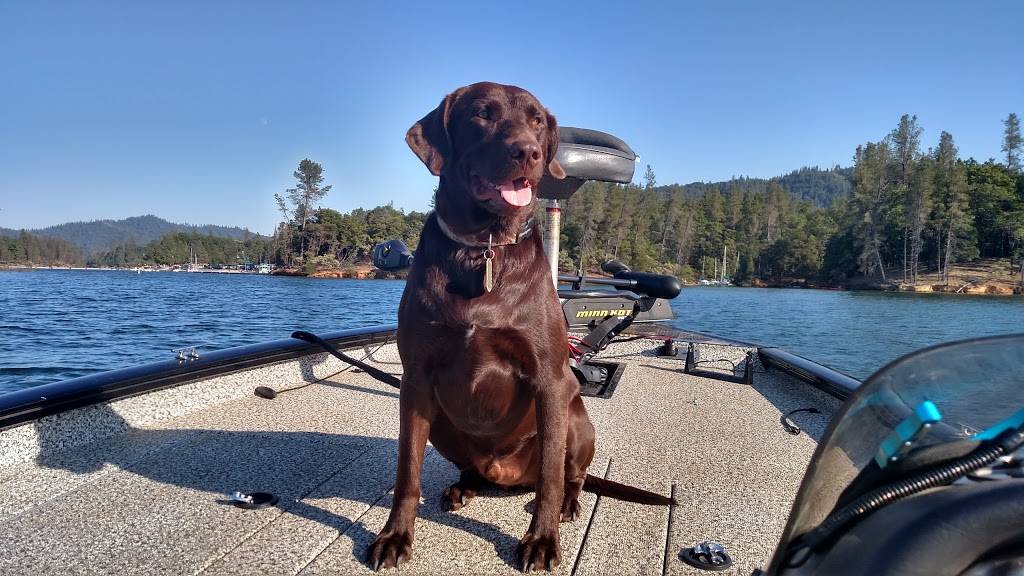 Roosters Landing Fishing Resort | restaurant | 23166 Ash Creek Rd, Anderson, CA 96007, USA | 5303658418 OR +1 530-365-8418