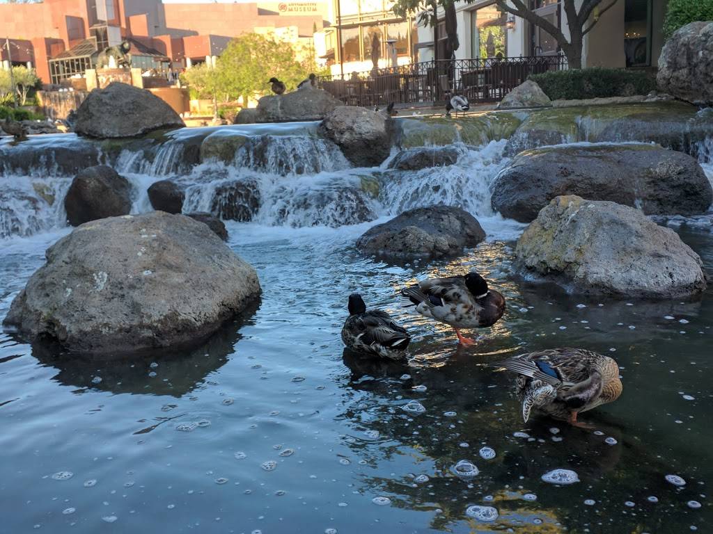 Century Blackhawk Plaza | meal takeaway | 4175 Blackhawk Plaza Cir, Danville, CA 94506, USA | 9257360367 OR +1 925-736-0367