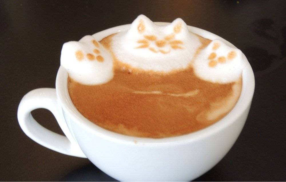 Europa Deli & Cafe | restaurant | 1694 Penfield Rd, Rochester, NY 14625, USA | 5853852040 OR +1 585-385-2040