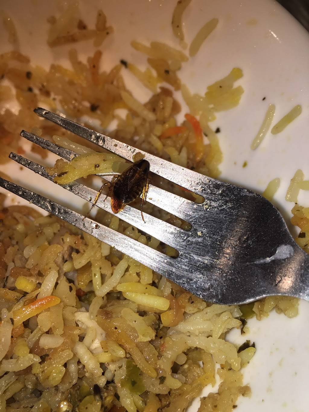 Biryani King | restaurant | 680 Rexdale Blvd #15, Etobicoke, ON M9W 6T4, Canada | 4162135500 OR +1 416-213-5500