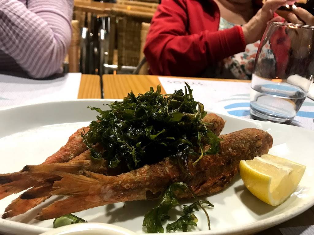 Syros Taverna | restaurant | 51 E Palisade Ave, Englewood, NJ 07631, USA | 2017313556 OR +1 201-731-3556