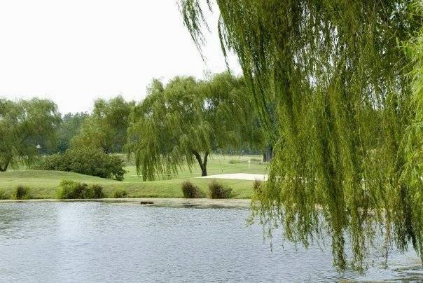 WillowBrook Golf Club | restaurant | 6751 McMinnville Hwy, Manchester, TN 37355, USA | 9317288989 OR +1 931-728-8989