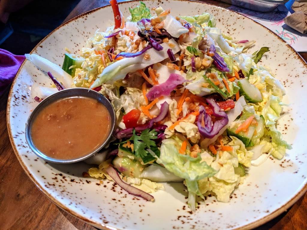 Lazy Dog Restaurant & Bar | restaurant | 8401 Preston Rd, Plano, TX 75024, USA | 4696091570 OR +1 469-609-1570