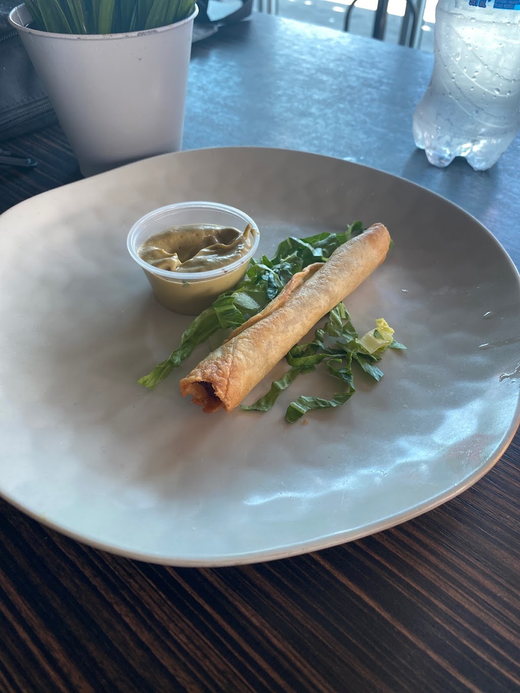 Salsa Fiesta | restaurant | 2929 Biscayne Blvd, Miami, FL 33137, USA | 3054008245 OR +1 305-400-8245