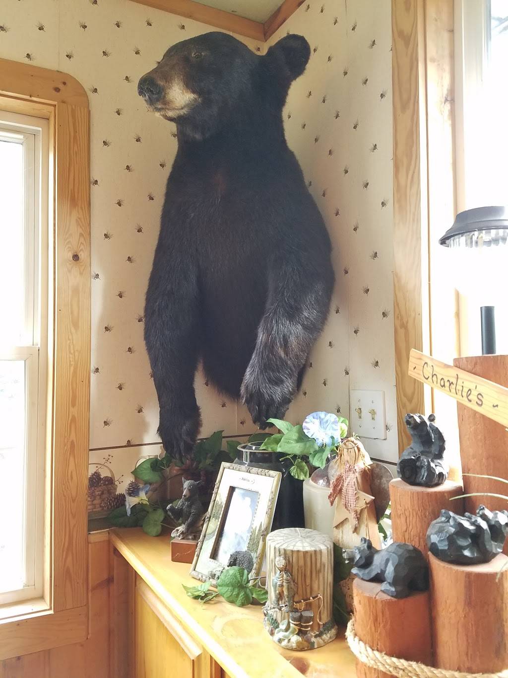 Charlies Fine Food & Spirits | restaurant | 10949 County Hwy S, Hayward, WI 54843, USA | 7154623999 OR +1 715-462-3999